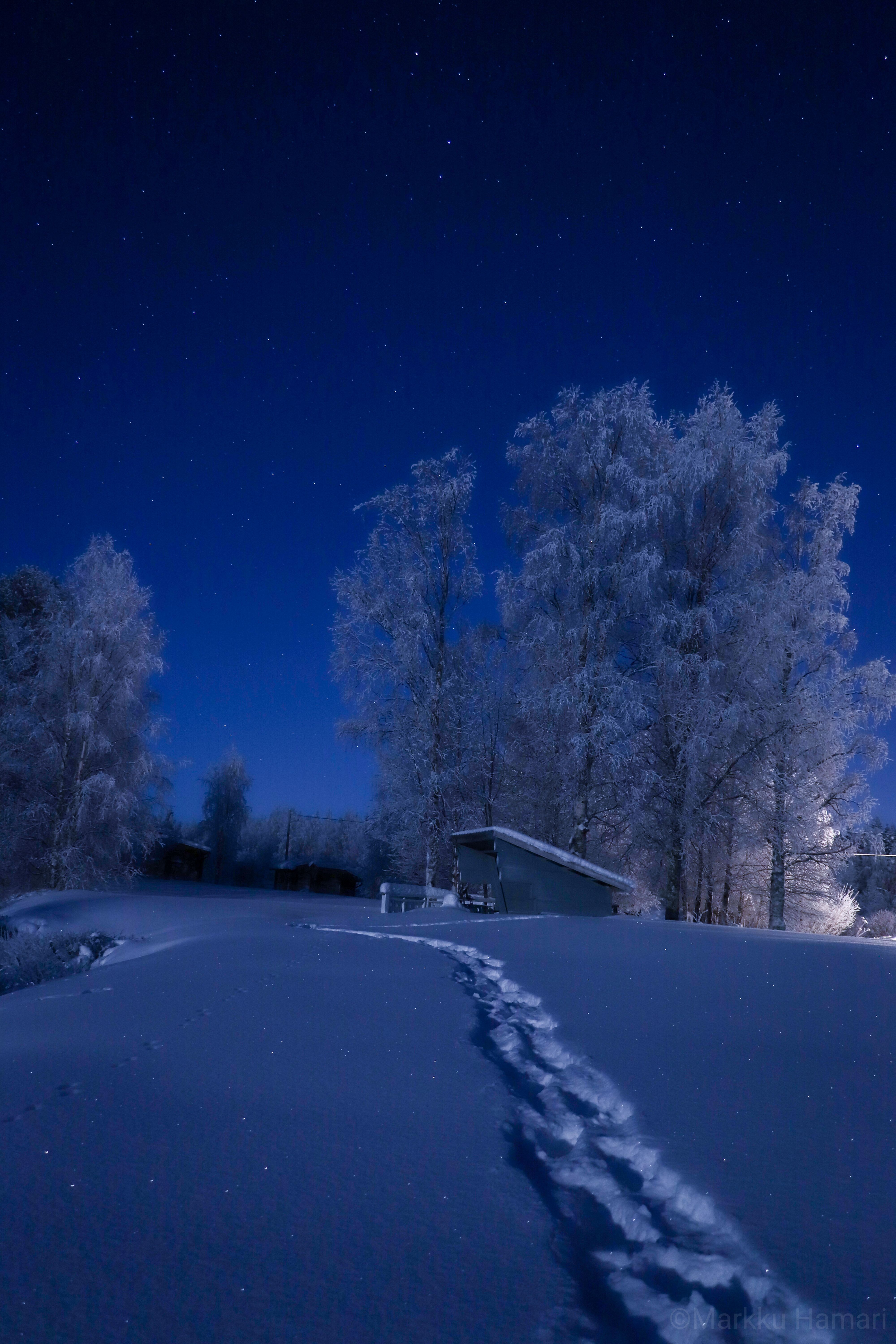 Blue-moment-snow-wonderland-Taxari-Travel-Lapland