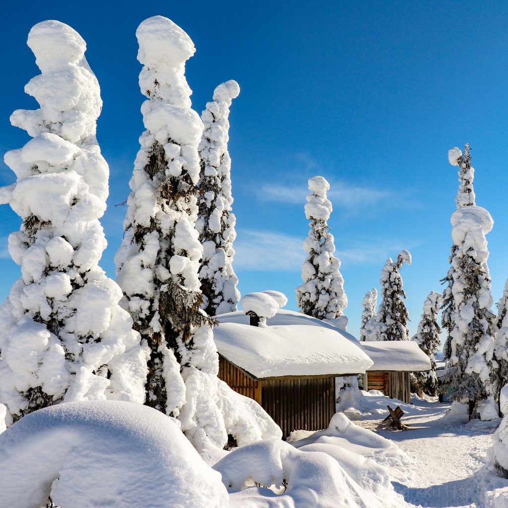 Winter-wonderland-Lapland-Taxari-Travel