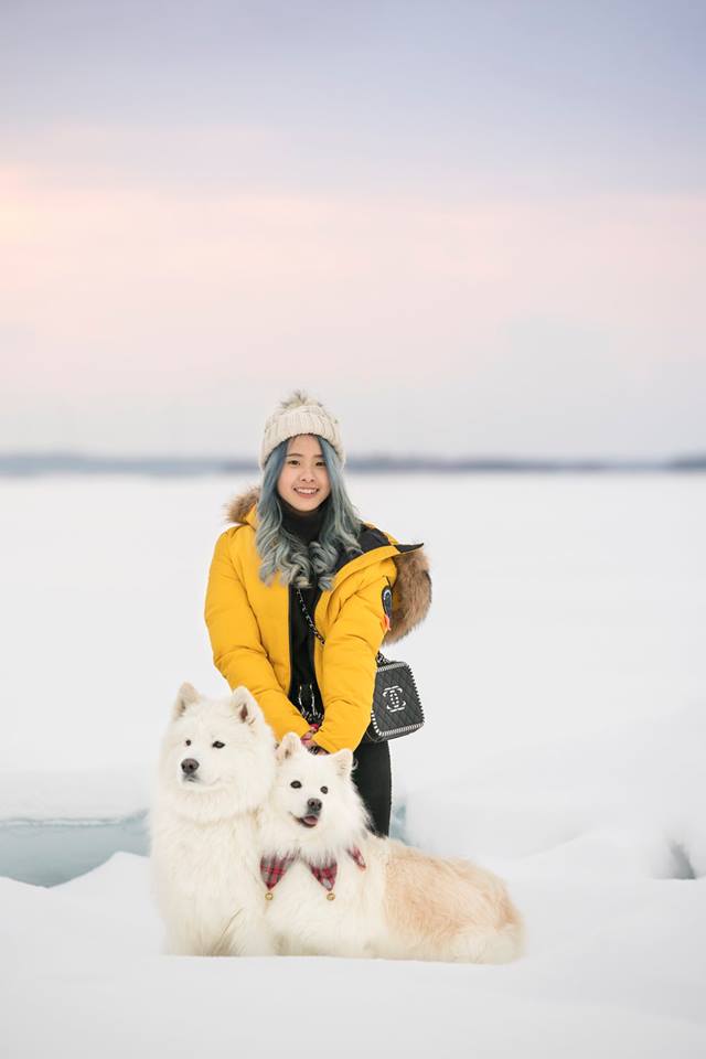 Arctic-Snow-Dogs-Kemi-Taxari-Travel-Lapland-03