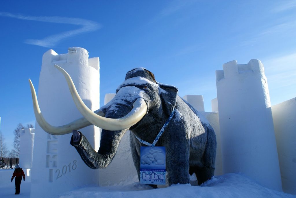 Winter activities in Lapland - Taxari Travel Agency Lapland