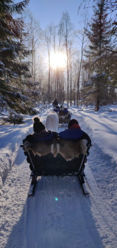 Reindeer-farm-Arkadia-winter-activity-Kemi-Taxari-Travel-Lapland