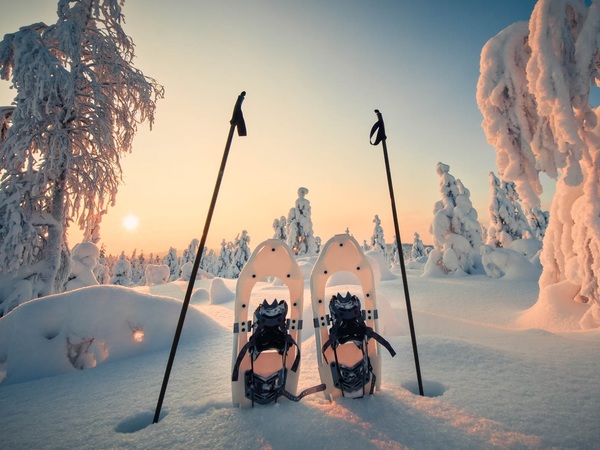 lapland travel agency