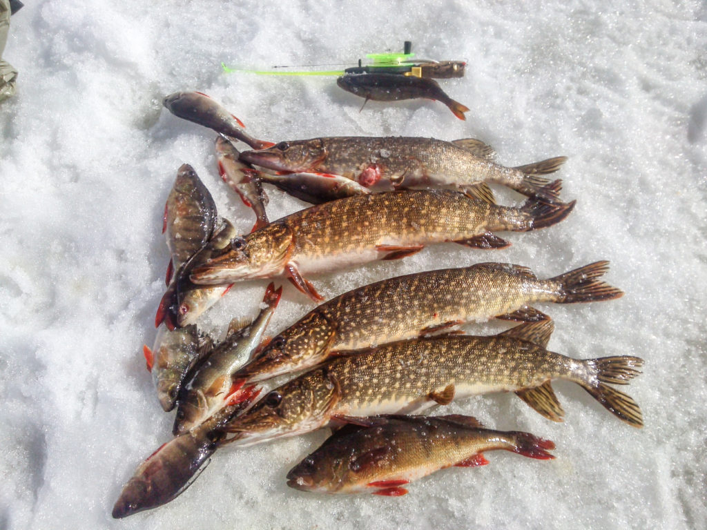 Icefishing-Lapland-Taxari-Travel-01