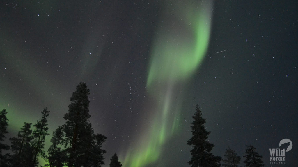 Auroras-Levi-Winter-Taxari-Travel-Lapland