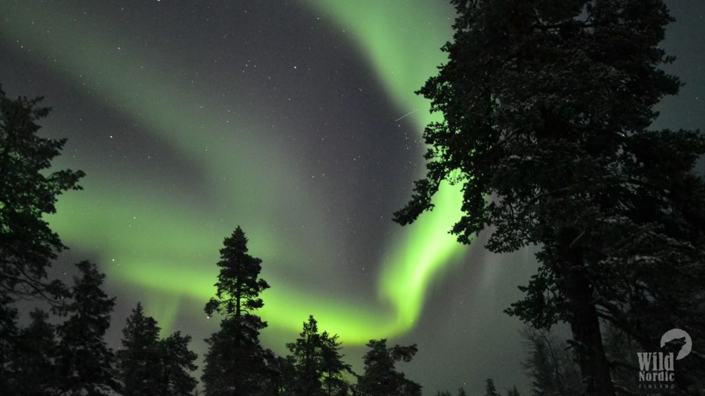 Northern-lights-Lapland-Winter-Taxari-Travel-Lapland-01
