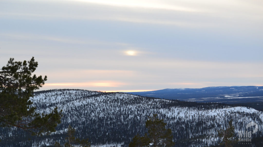 Levi-Winter-Taxari-Travel-Lapland-01