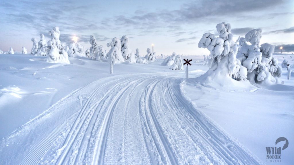 Snowmobile-safari-Levi-Winter-Taxari-Travel-Lapland-03