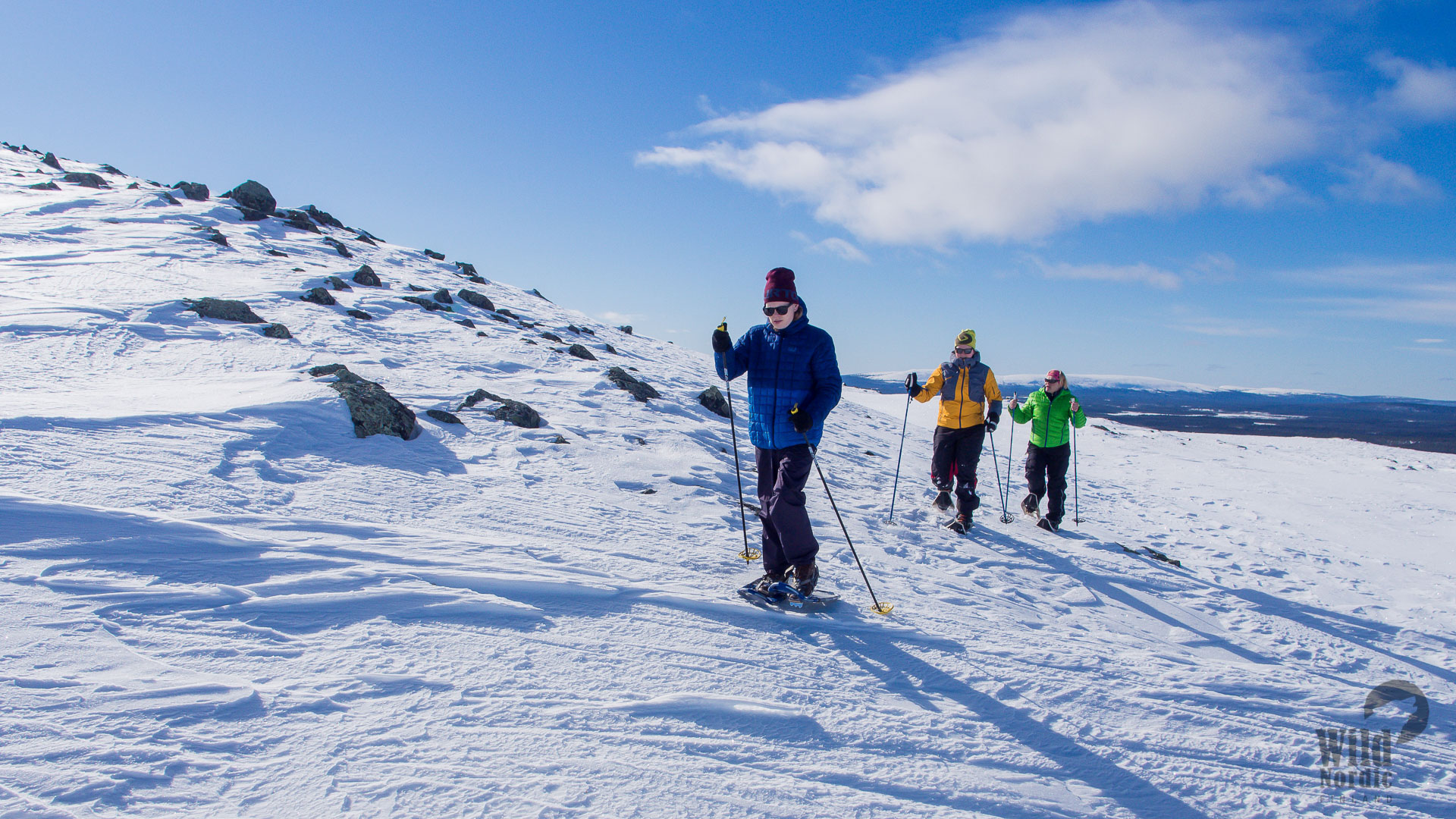 Panoramic Snowshoeing on Top of Levi Taxari Travel Agency Lapland