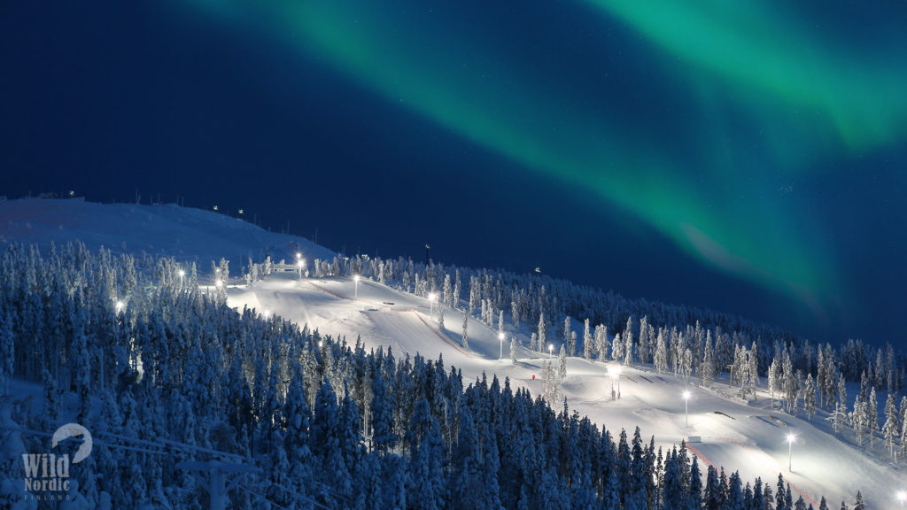 Northern-lights-Levi-Winter-Taxari-Travel-Lapland